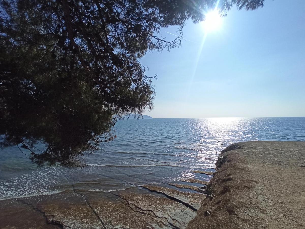 Ete Indien - Plage - Wifi - Host Provence Διαμέρισμα Λα Σιοτά Εξωτερικό φωτογραφία